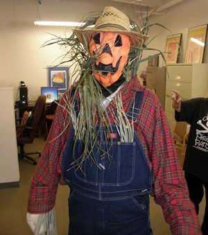 Al as a scarecrow